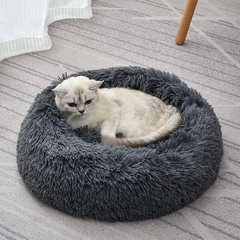 30/40/50/60Cm Mini Super Soft Dog Cat Bed Plush Cat Mat Dog Beds for Small Pet Dogs Cat Bed Labradors House round Cushion Pet Product Accessories