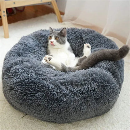 30/40/50/60Cm Mini Super Soft Dog Cat Bed Plush Cat Mat Dog Beds for Small Pet Dogs Cat Bed Labradors House round Cushion Pet Product Accessories