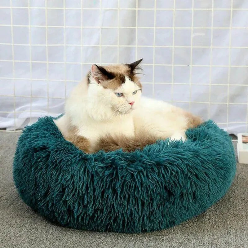 30/40/50/60Cm Mini Super Soft Dog Cat Bed Plush Cat Mat Dog Beds for Small Pet Dogs Cat Bed Labradors House round Cushion Pet Product Accessories