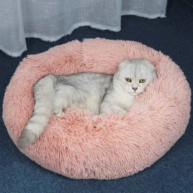 30/40/50/60Cm Mini Super Soft Dog Cat Bed Plush Cat Mat Dog Beds for Small Pet Dogs Cat Bed Labradors House round Cushion Pet Product Accessories