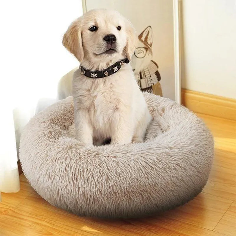 30/40/50/60Cm Mini Super Soft Dog Cat Bed Plush Cat Mat Dog Beds for Small Pet Dogs Cat Bed Labradors House round Cushion Pet Product Accessories