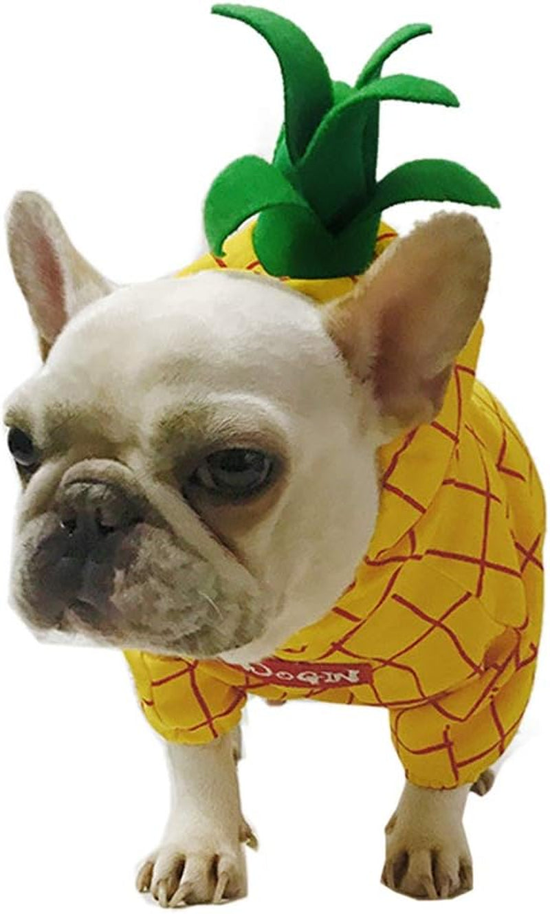 Pineapple Pet Costume, Halloween Pet Dogs Cosplay Coat for Party Christmas Special Events Costume