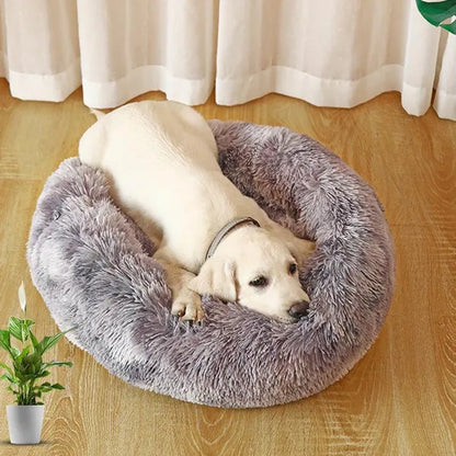 30/40/50/60Cm Mini Super Soft Dog Cat Bed Plush Cat Mat Dog Beds for Small Pet Dogs Cat Bed Labradors House round Cushion Pet Product Accessories