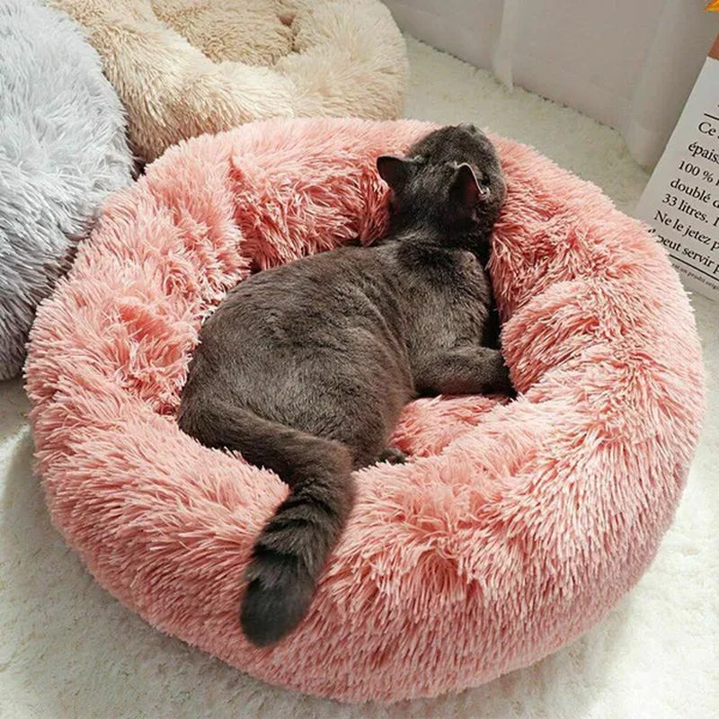 30/40/50/60Cm Mini Super Soft Dog Cat Bed Plush Cat Mat Dog Beds for Small Pet Dogs Cat Bed Labradors House round Cushion Pet Product Accessories